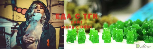 тгк Абаза
