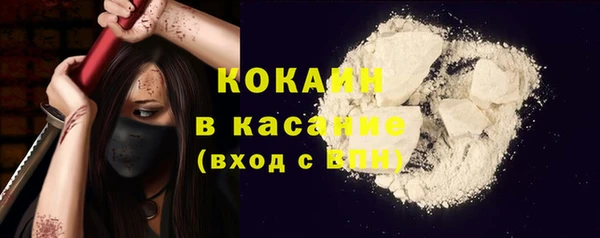 тгк Абаза