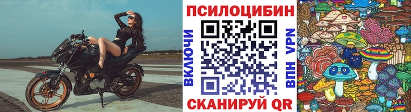 даркнет наркотические препараты наркошоп ОМГ ОМГ рабочий сайт Димитровград Псилоцибиновые грибы мицелий