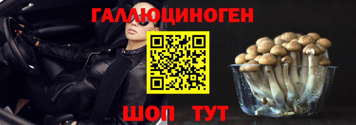 Галлюциногенные грибы GOLDEN TEACHER  Вход с VPN  Димитровград 